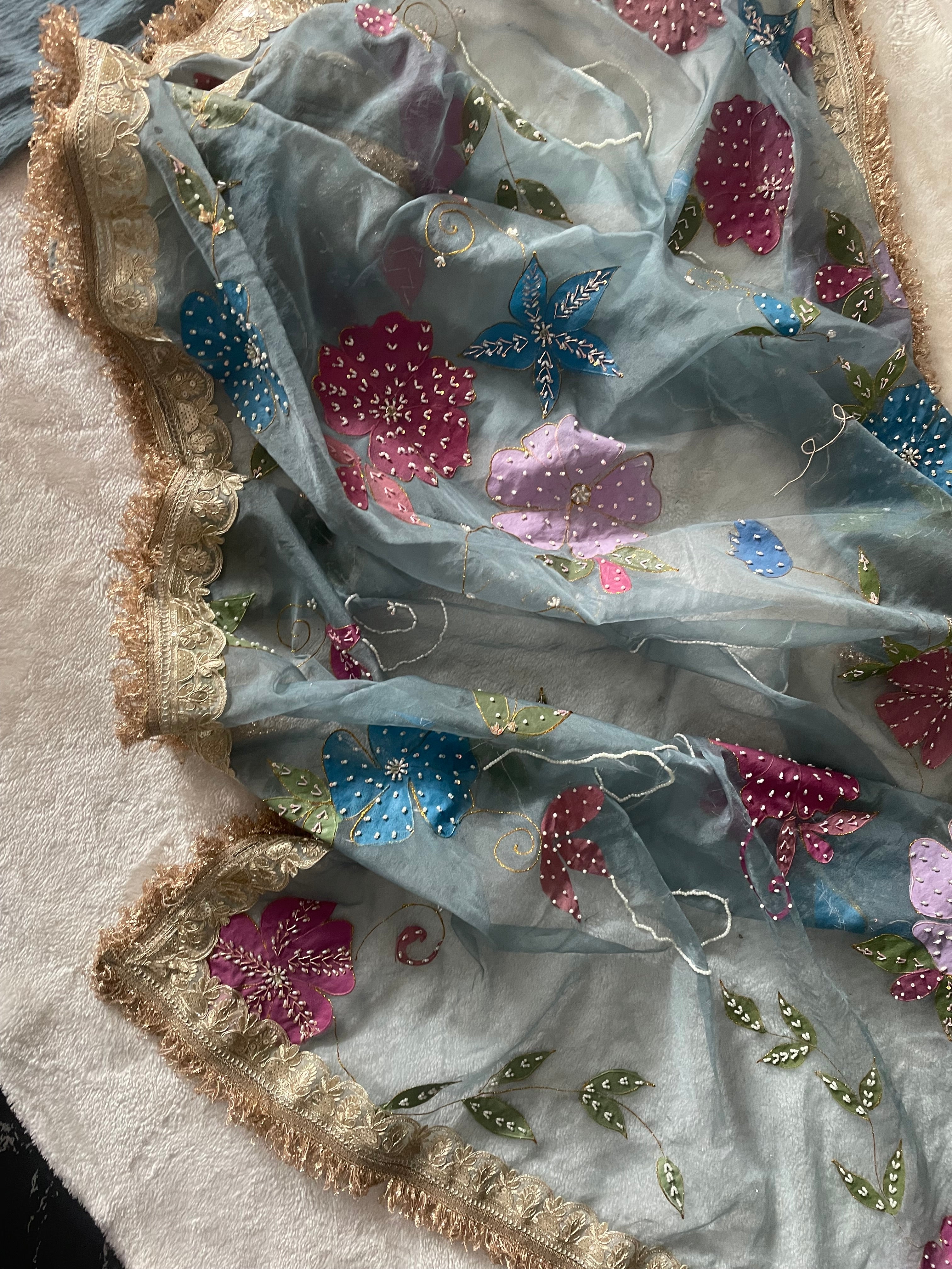 Sky blue garara hand painted dupatta